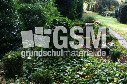 Herbst-Friedhof 017.jpg